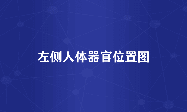 左侧人体器官位置图