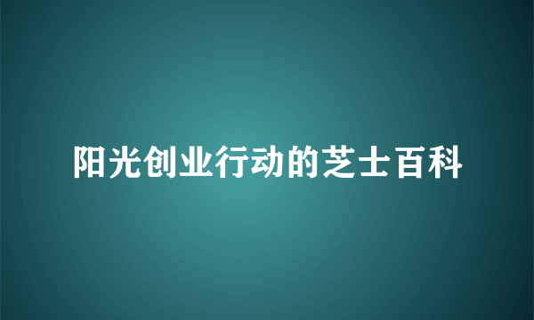 阳光创业行动的芝士百科