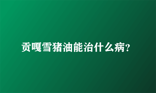 贡嘎雪猪油能治什么病？