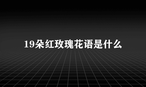19朵红玫瑰花语是什么
