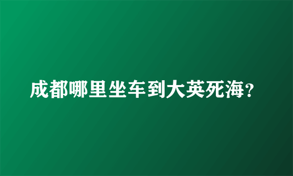 成都哪里坐车到大英死海？