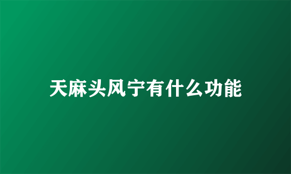 天麻头风宁有什么功能