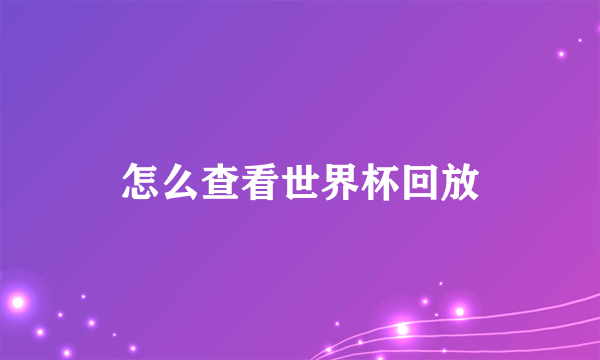 怎么查看世界杯回放