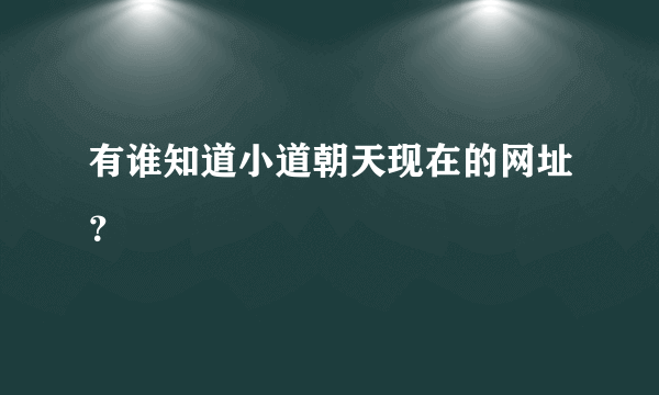 有谁知道小道朝天现在的网址？