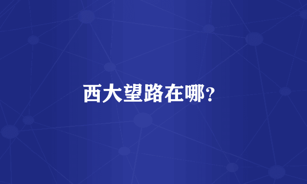 西大望路在哪？