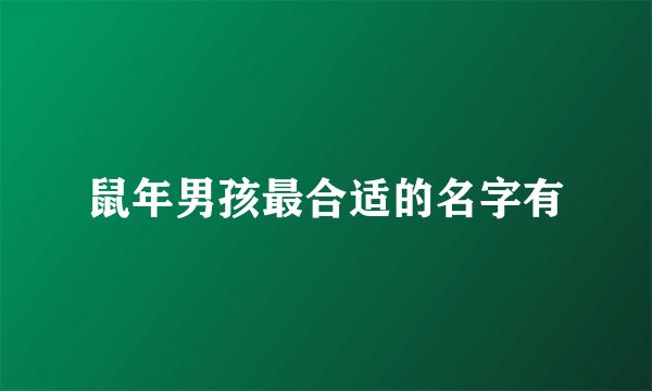 鼠年男孩最合适的名字有