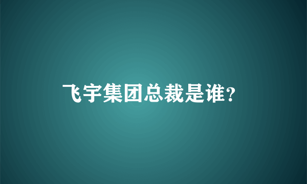 飞宇集团总裁是谁？