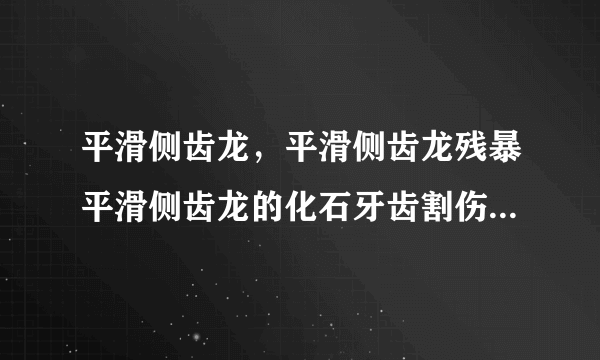 平滑侧齿龙，平滑侧齿龙残暴平滑侧齿龙的化石牙齿割伤人手-飞外网
