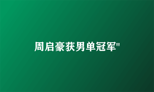 周启豪获男单冠军