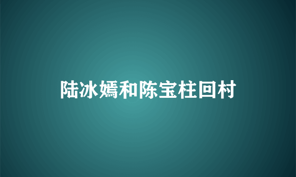 陆冰嫣和陈宝柱回村