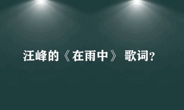 汪峰的《在雨中》 歌词？