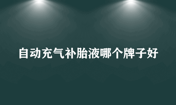 自动充气补胎液哪个牌子好