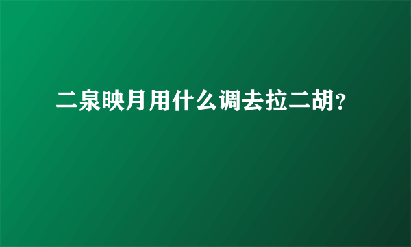 二泉映月用什么调去拉二胡？