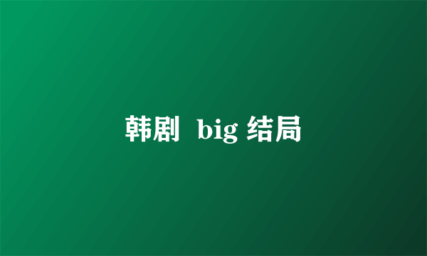 韩剧  big 结局