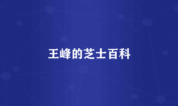王峰的芝士百科
