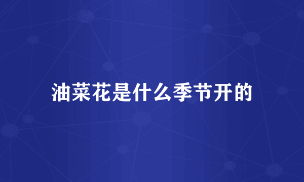 油菜花是什么季节开的