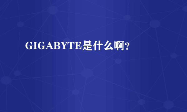 GIGABYTE是什么啊？