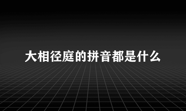 大相径庭的拼音都是什么