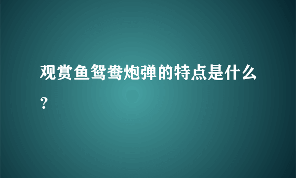 观赏鱼鸳鸯炮弹的特点是什么？