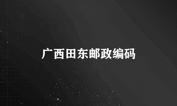 广西田东邮政编码