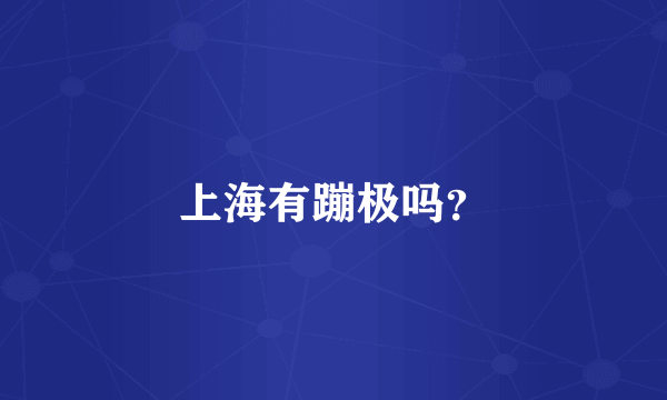 上海有蹦极吗？