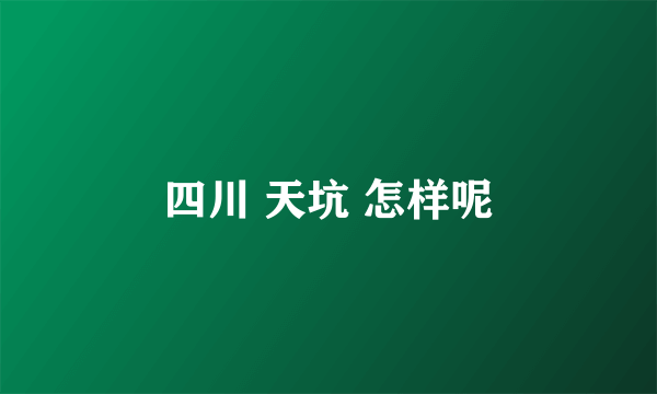 四川 天坑 怎样呢