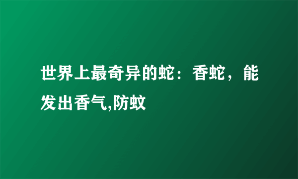 世界上最奇异的蛇：香蛇，能发出香气,防蚊