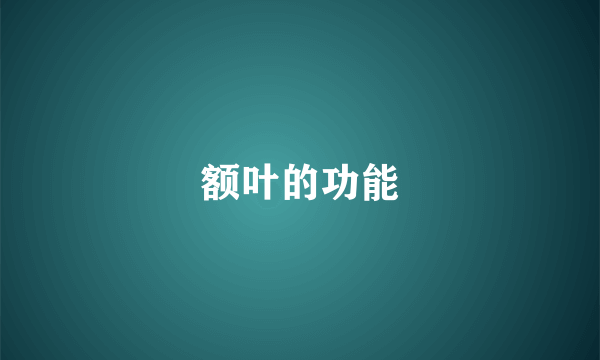 额叶的功能