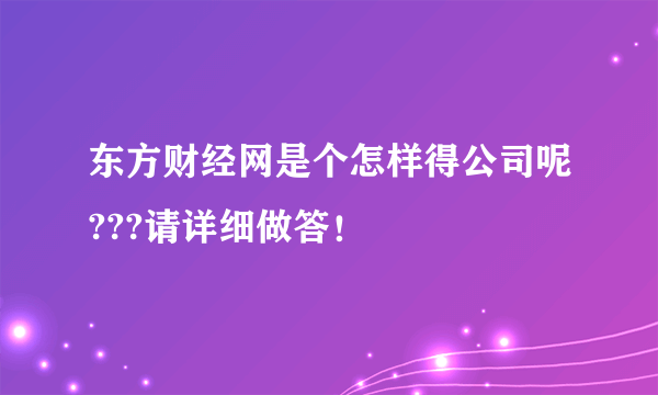 东方财经网是个怎样得公司呢???请详细做答！