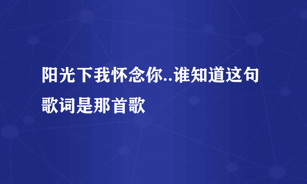 阳光下我怀念你..谁知道这句歌词是那首歌