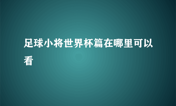 足球小将世界杯篇在哪里可以看