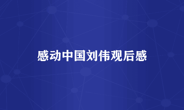 感动中国刘伟观后感