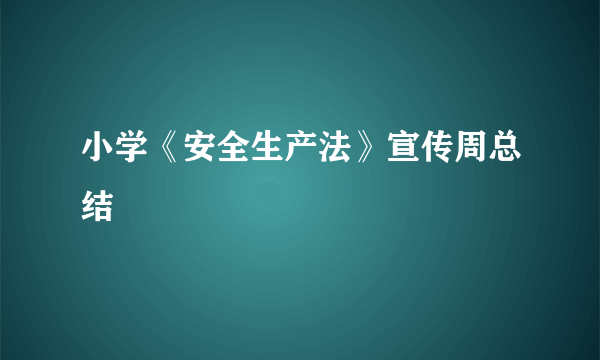小学《安全生产法》宣传周总结