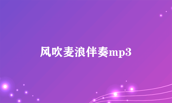 风吹麦浪伴奏mp3