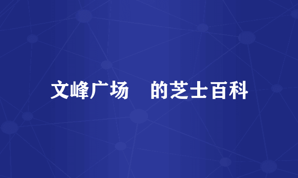 文峰广场　的芝士百科