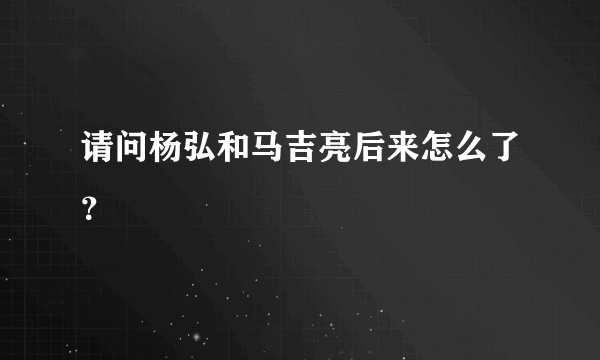 请问杨弘和马吉亮后来怎么了？