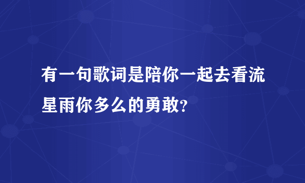有一句歌词是陪你一起去看流星雨你多么的勇敢？
