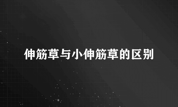 伸筋草与小伸筋草的区别