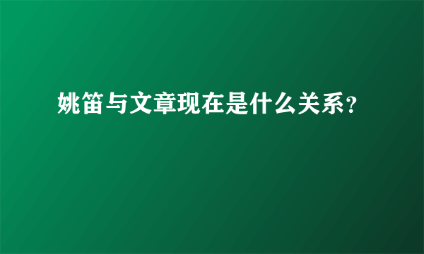 姚笛与文章现在是什么关系？