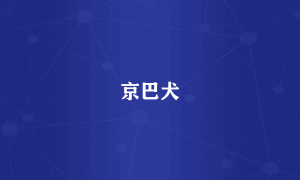 京巴犬