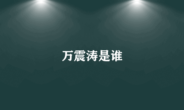 万震涛是谁