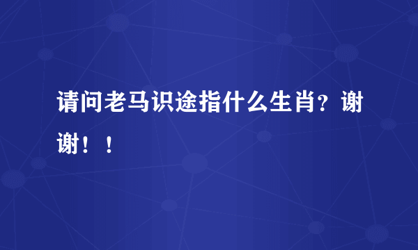 请问老马识途指什么生肖？谢谢！！