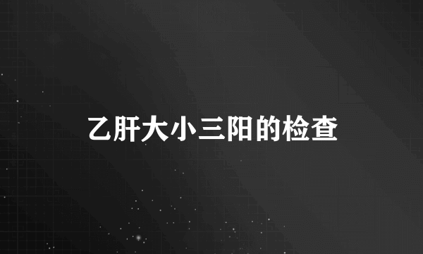 乙肝大小三阳的检查
