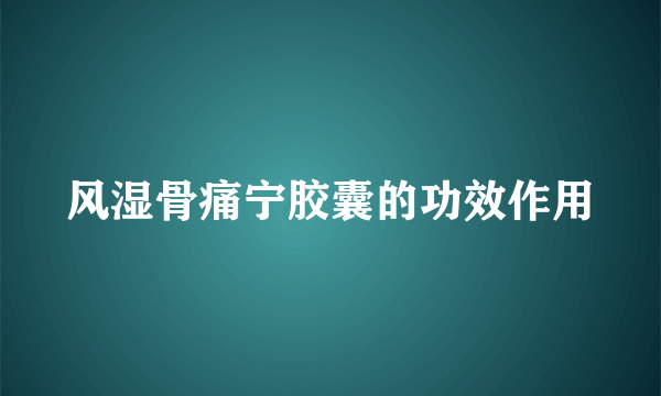 风湿骨痛宁胶囊的功效作用
