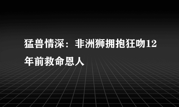 猛兽情深：非洲狮拥抱狂吻12年前救命恩人