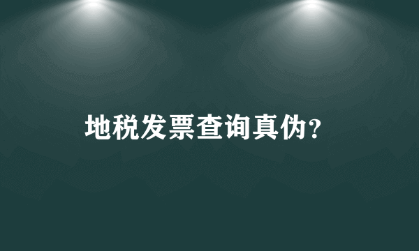 地税发票查询真伪？