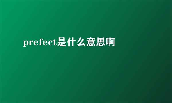 prefect是什么意思啊