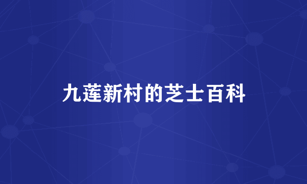 九莲新村的芝士百科