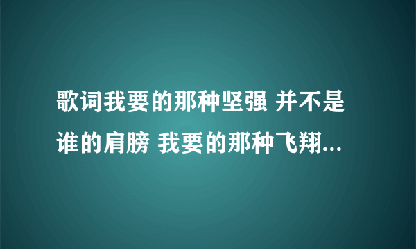 歌词我要的那种坚强 并不是谁的肩膀 我要的那种飞翔 自由是翅膀的远方 歌名叫什么？