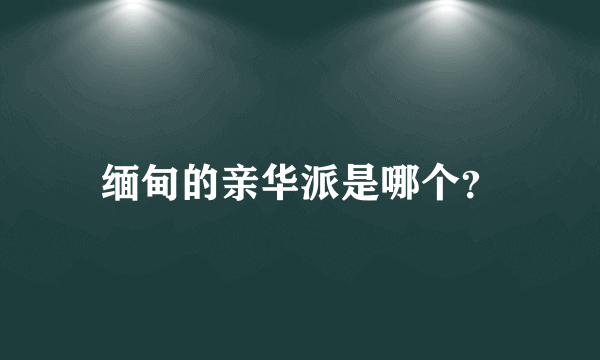 缅甸的亲华派是哪个？